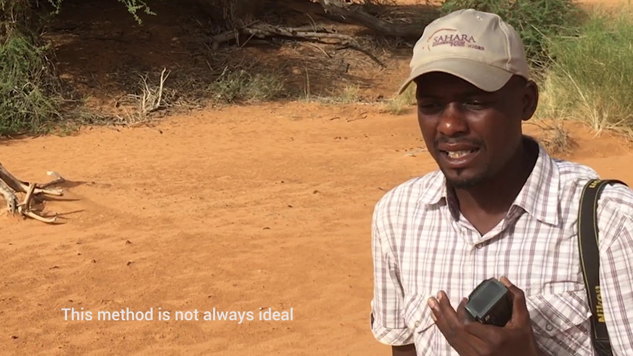 Testing drones in Niger: a new tool to monitor the Sahelo-Saharan species