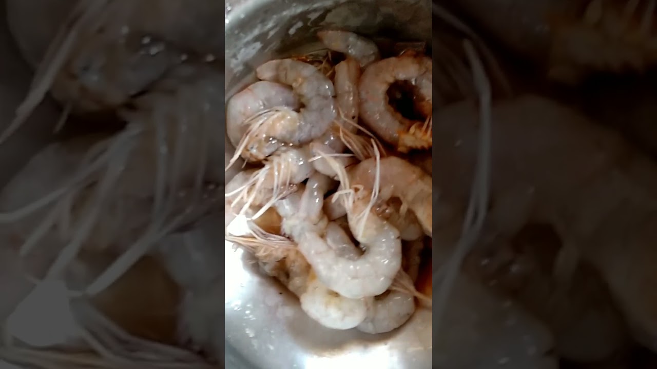 #testy#food #hesal#youtubrshort#short