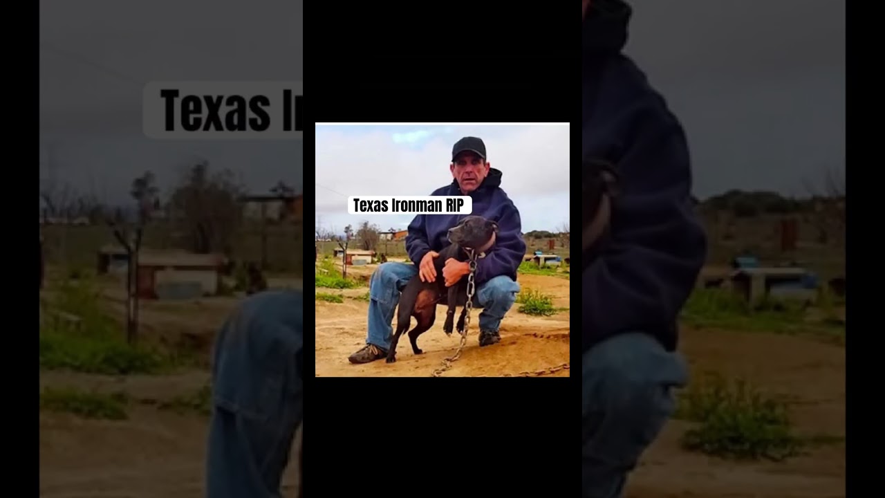 Texas Ironman Tribute #apbt #realapbt
