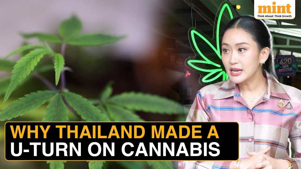 Thailand Throws $1.2 Billion Industry In Limbo As It Bans Cannabis, 3 Years After Decriminalization
