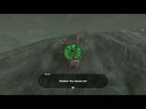 Thanks for the Korok Poop!  Ya-ha-ha! OUCH!