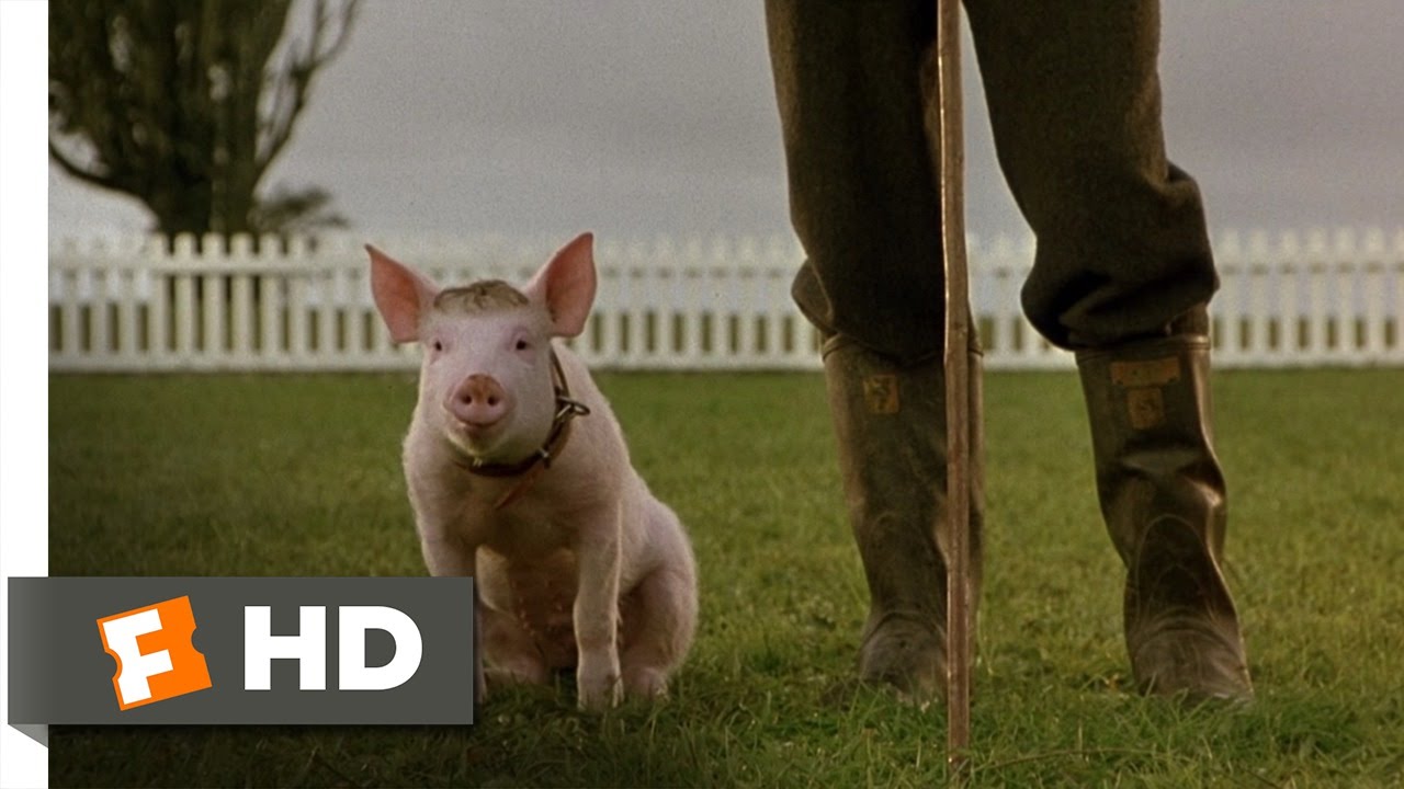 That'll Do Pig - Babe (9/9) Movie CLIP (1995) HD