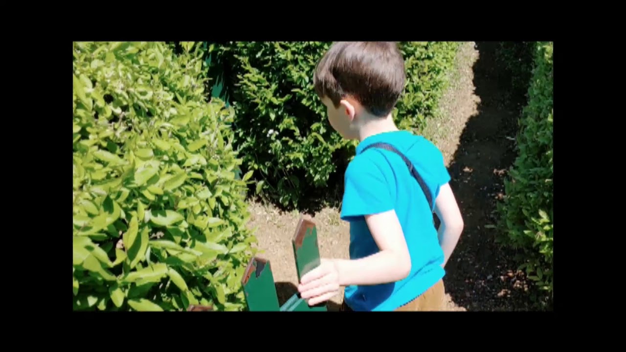 The A-maze-ing Adventure (RCTS #602)