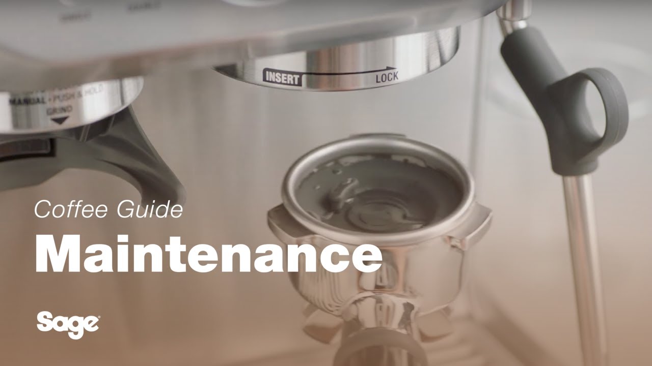 The Barista Express™ | How to perform a cleaning cycle on your espresso machine | Sage Appliances UK