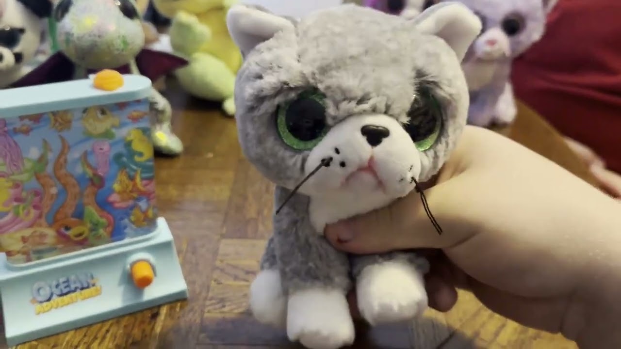 The Beanie Boos Show: N'SOAFT - Everyone Playing with the Ocean Adventure Fidget Toy