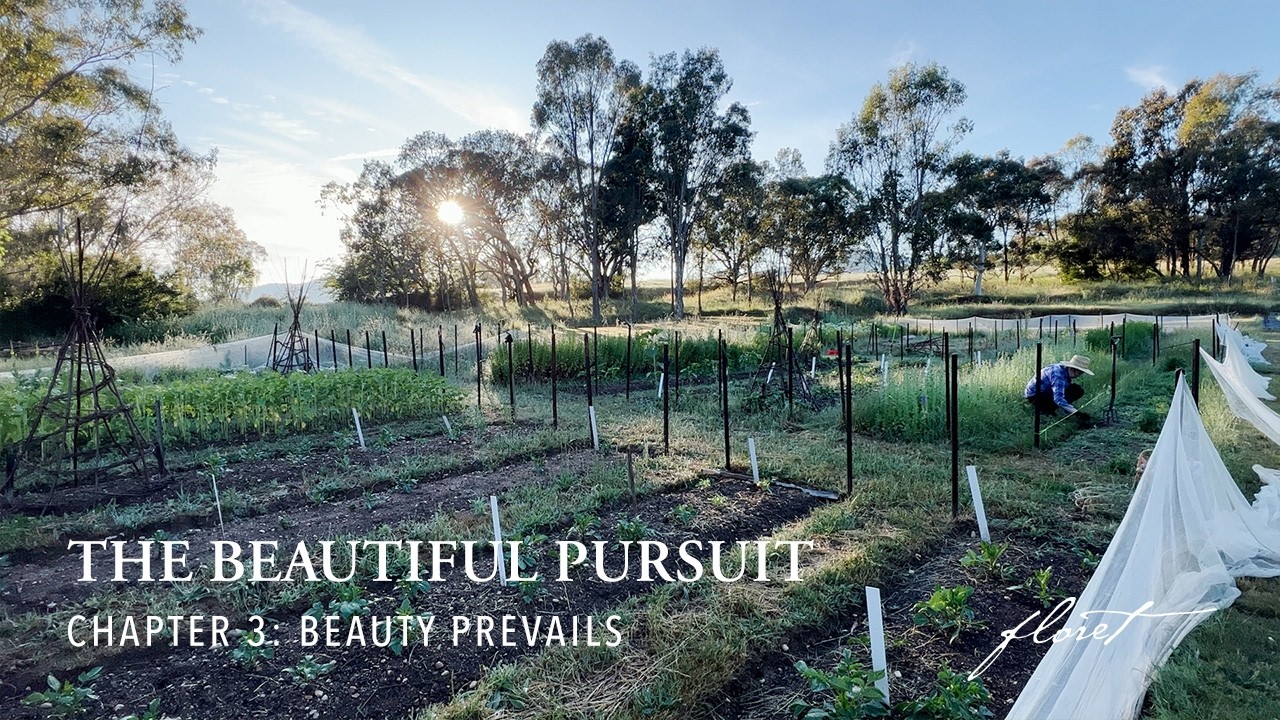 The Beautiful Pursuit | Chapter 3: Beauty Prevails
