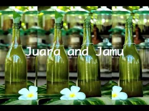 The Best Botanical Skincare Brand: JUARA Skincare