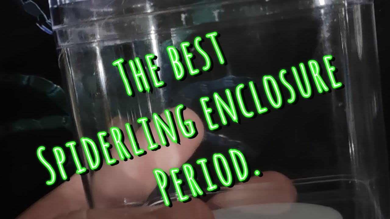 The best spiderling enclosure I've come across.