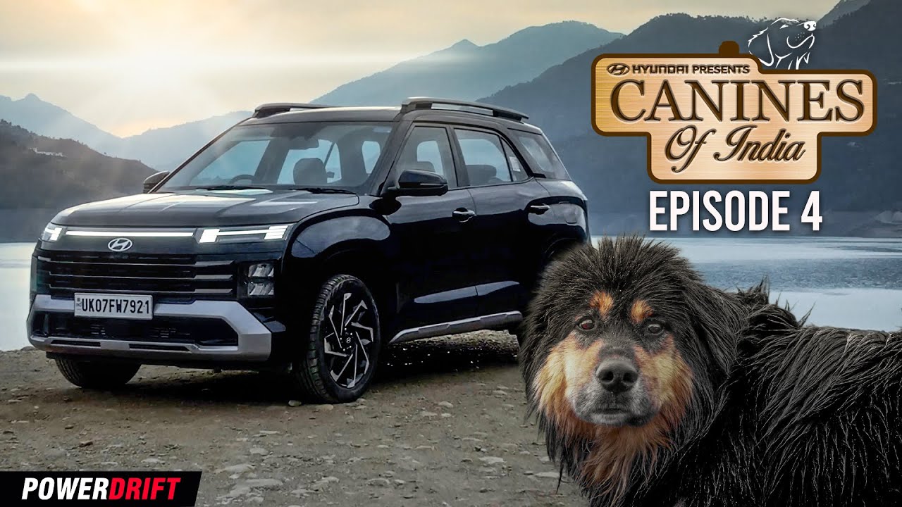 The Bhutia Dog is a legend of the Mountains — Canines of India EP4 | PowerDrift