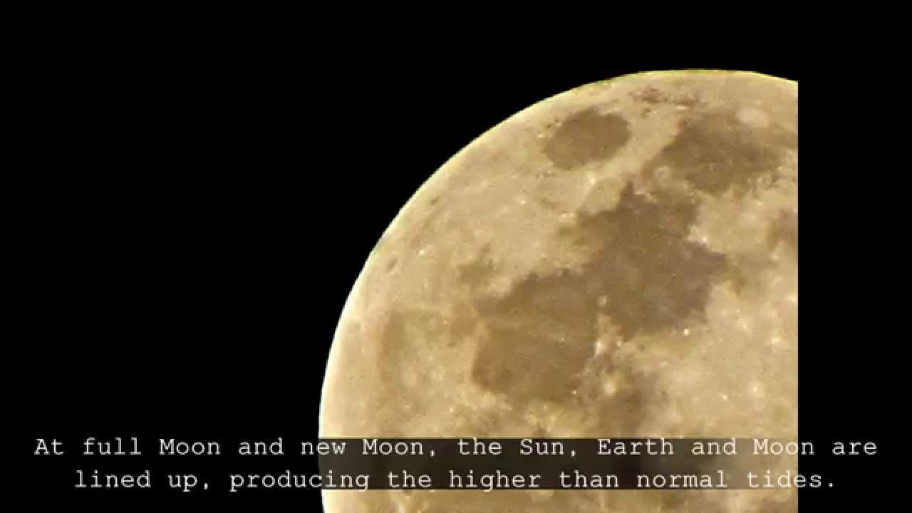 The Biggest Moon (Super Moon 2010)