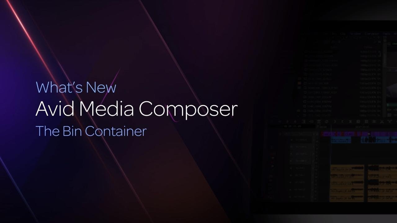 The Bin Container in Media Composer