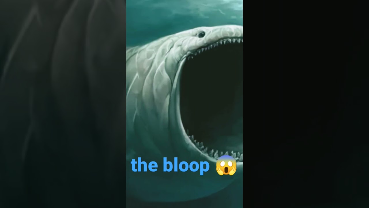 the bloop 😱