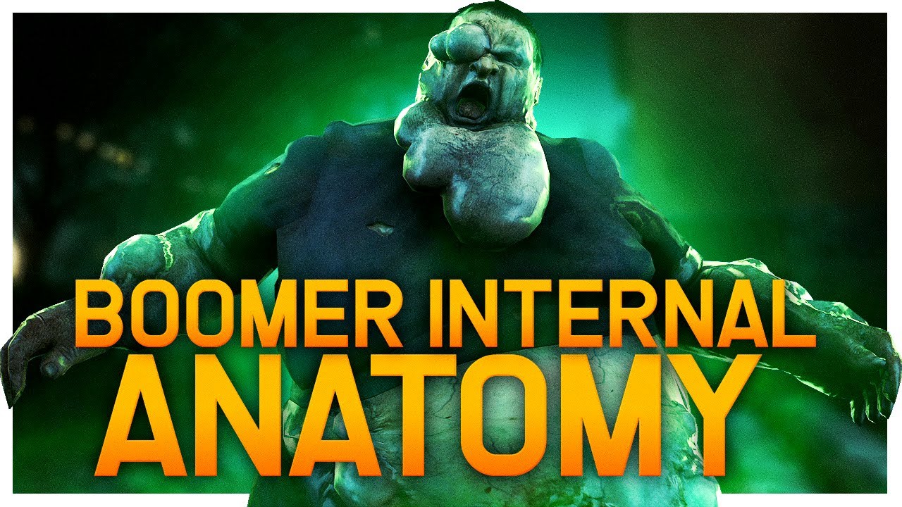 The Boomer Bile and Internal Physiology Explored | L4D2 Special Infected Anatomy