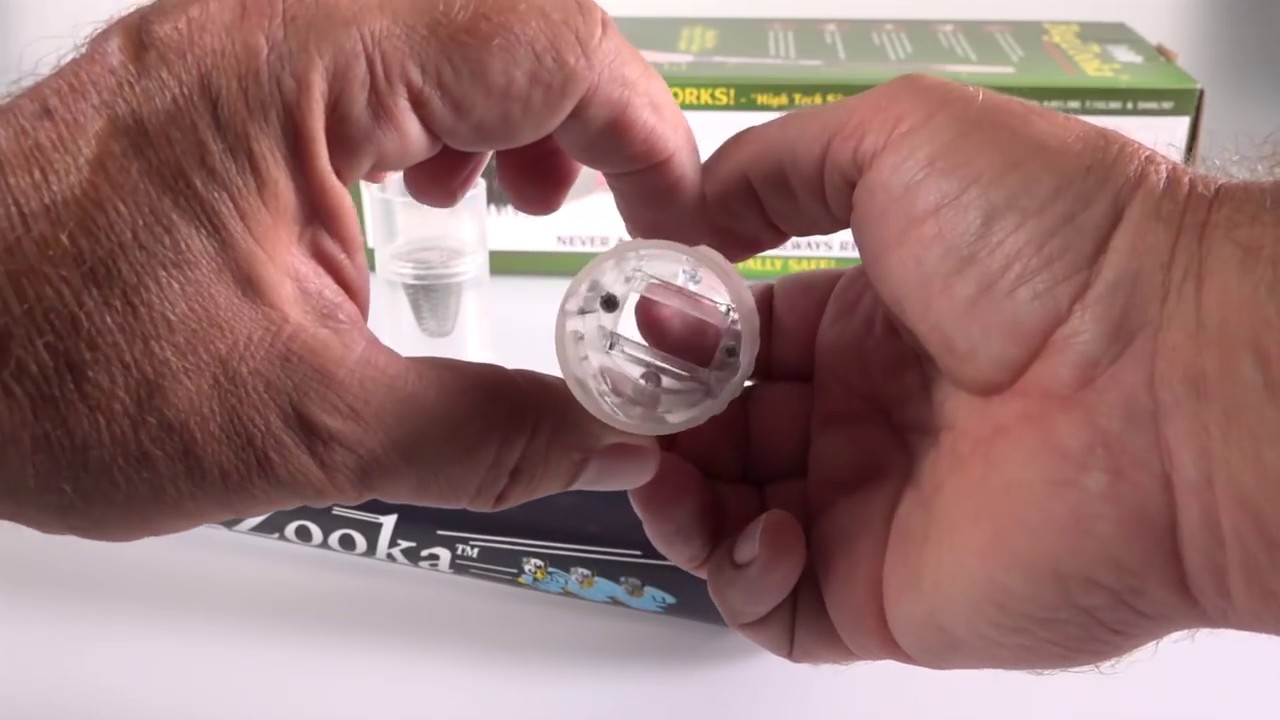 THE Bugzooka how to collect bugs! Catch Wasps, Trap Yellow Jackets floor to ceiling