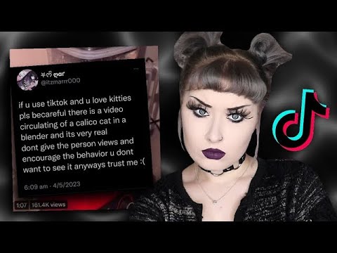 the cat blender video.