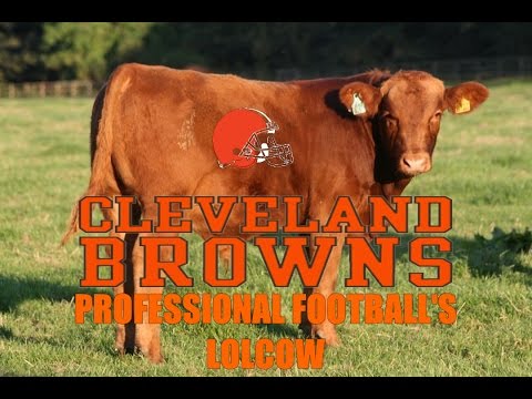 The Cleveland Browns - Professional Football's Lolcow