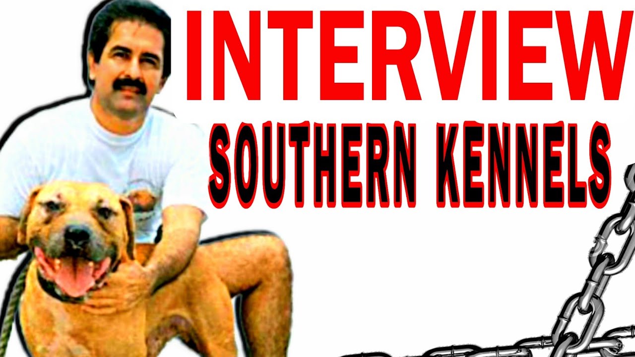 The Creator of MAYDAY - Interview VICTOR AYCART by SOUTHERN KENNELS - #pitbull #gamedog #apbt