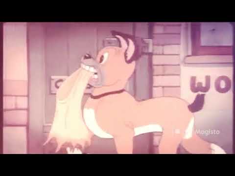 The Curious Puppy