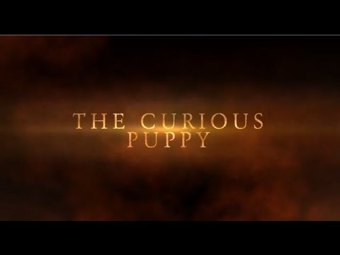 The Curious Puppy [TRAILER]