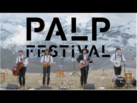 The Dead South - Palp Festival (Mountain Session)
