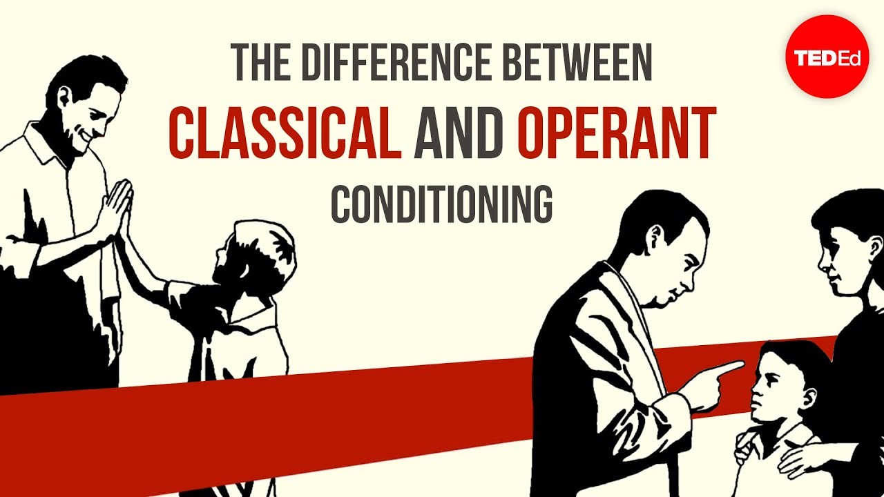 The difference between classical and operant conditioning - Peggy Andover