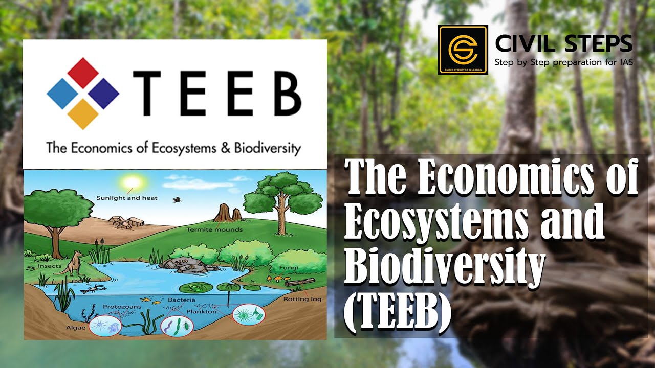 The Economics of Ecosystems and Biodiversity (TEEB)