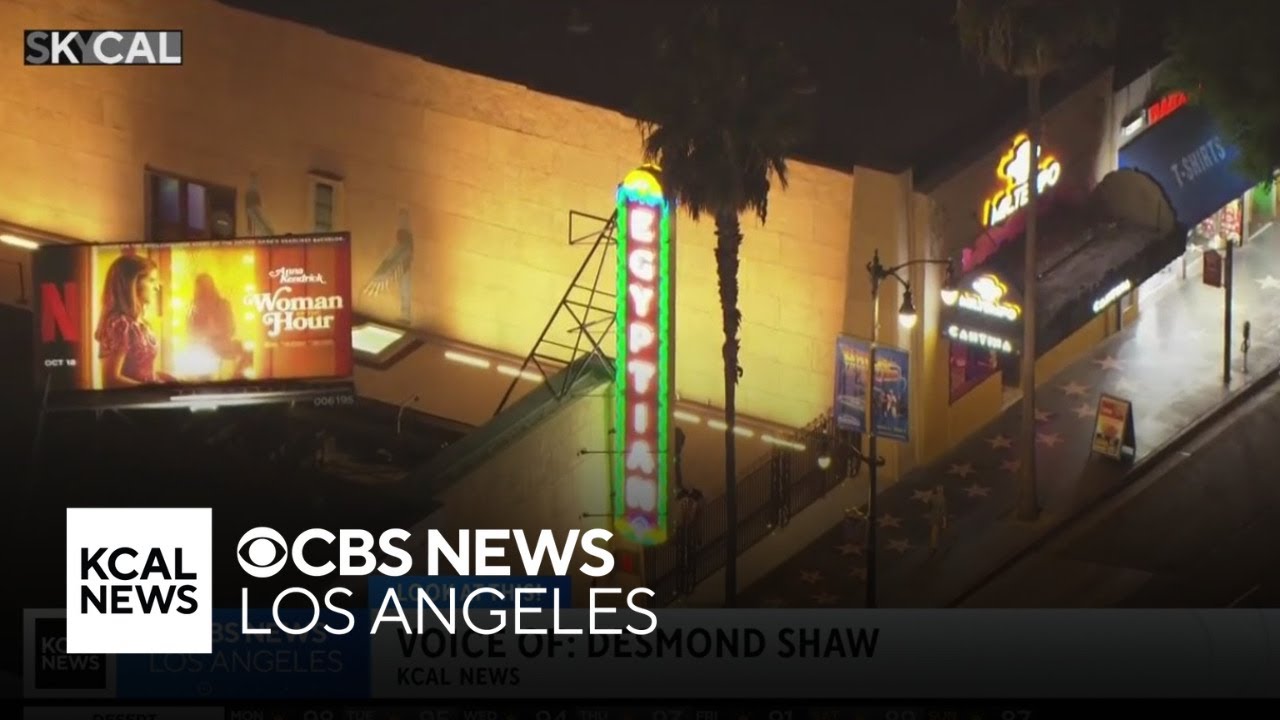 The Egyptian Theatre | Look At This!