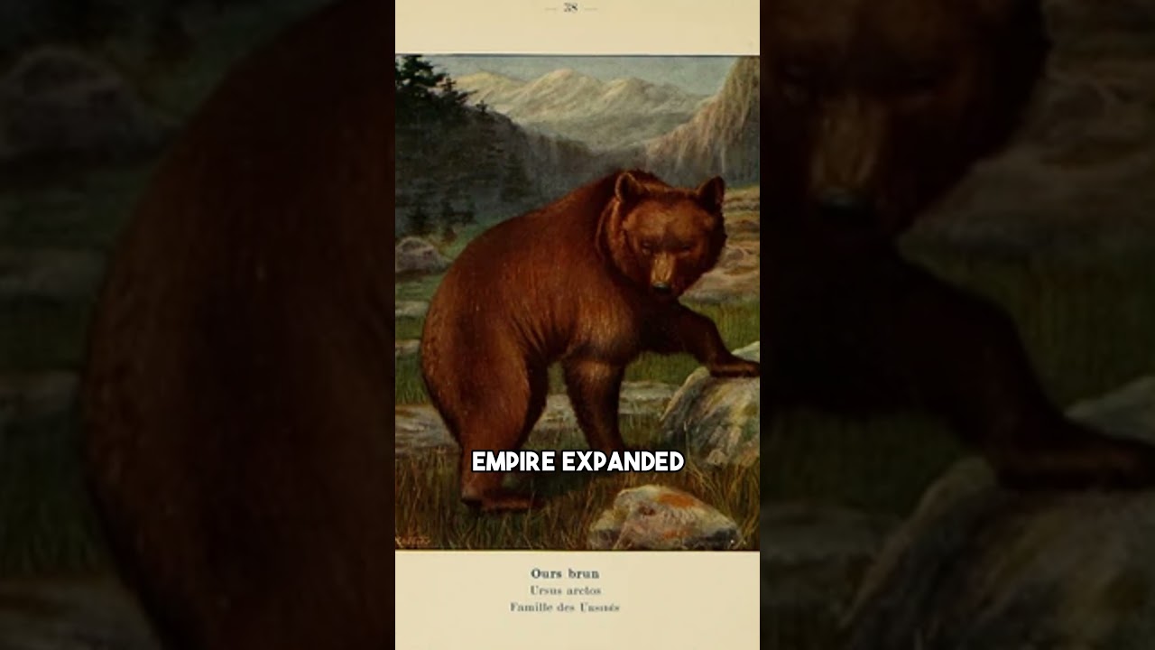The Extinction of Africa's Atlas Bear