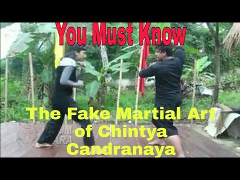 The Fake Martial Art of Chintya Candranaya and Master Agus Setiawan - Ternyata Video Mba Naya Palsu