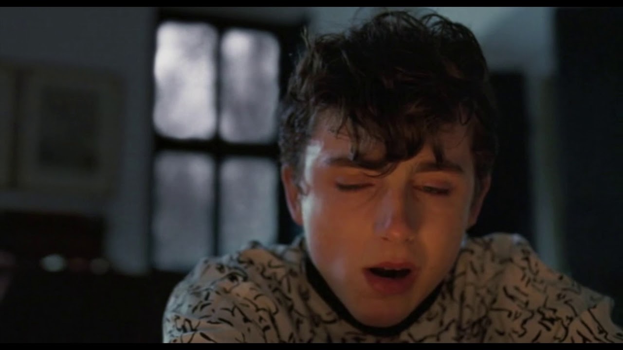 The Final Scene / Elio crying in front of the fireplace / Call Me By Your Name (2017)