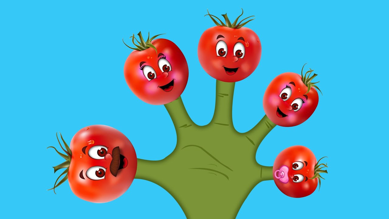 The Finger Family Tomato Family Nursery Rhyme | Tomato Finger Family Songs