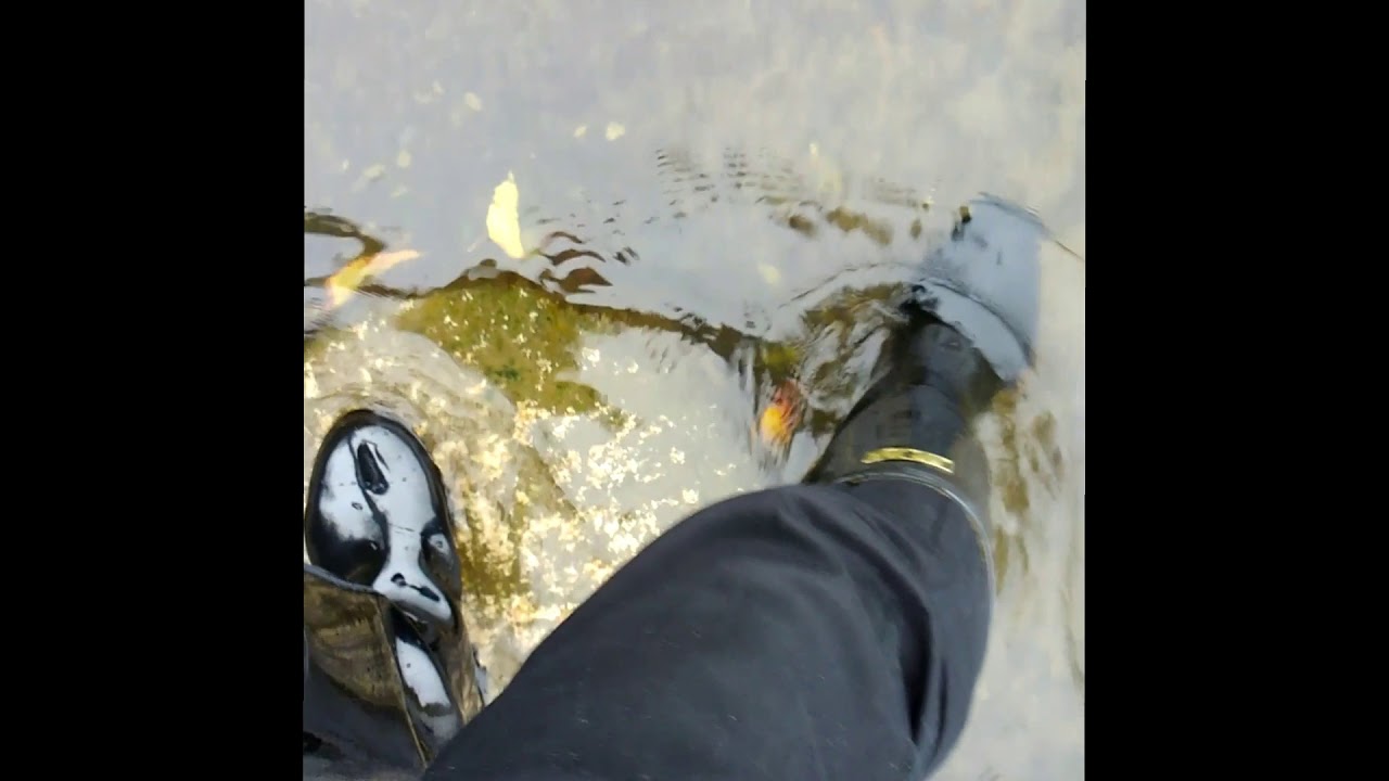 The first having a swim in a river video