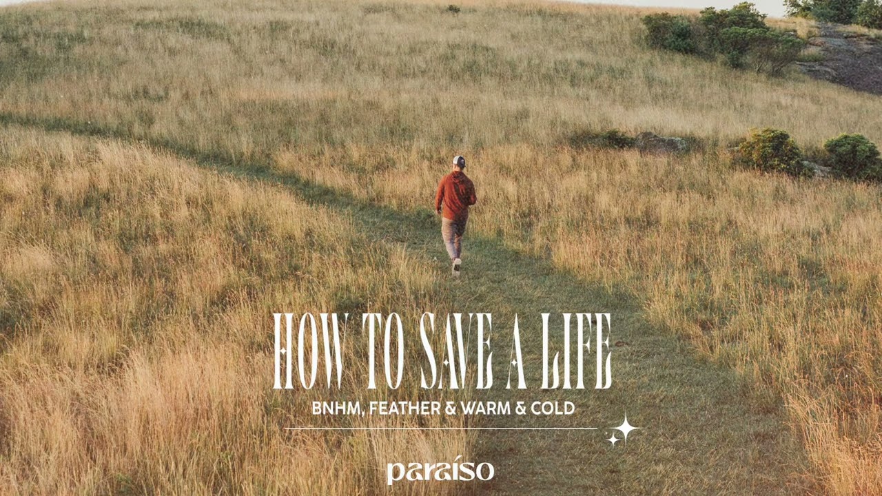 The Fray - How To Save A Life (BNHM, Feather & Warm & Cold Remix)