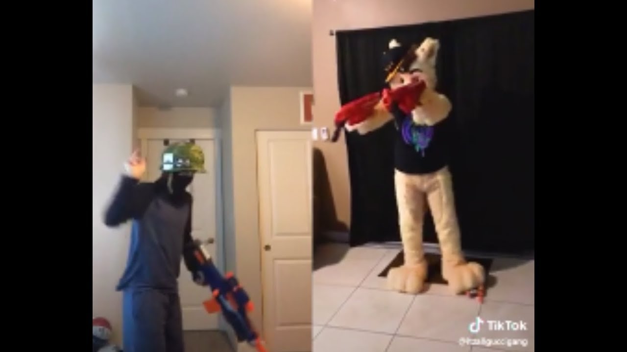 The Furry War the most important war in human history