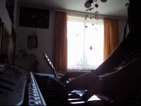 the Gazette - People Error  (piano cover by Kvicka)