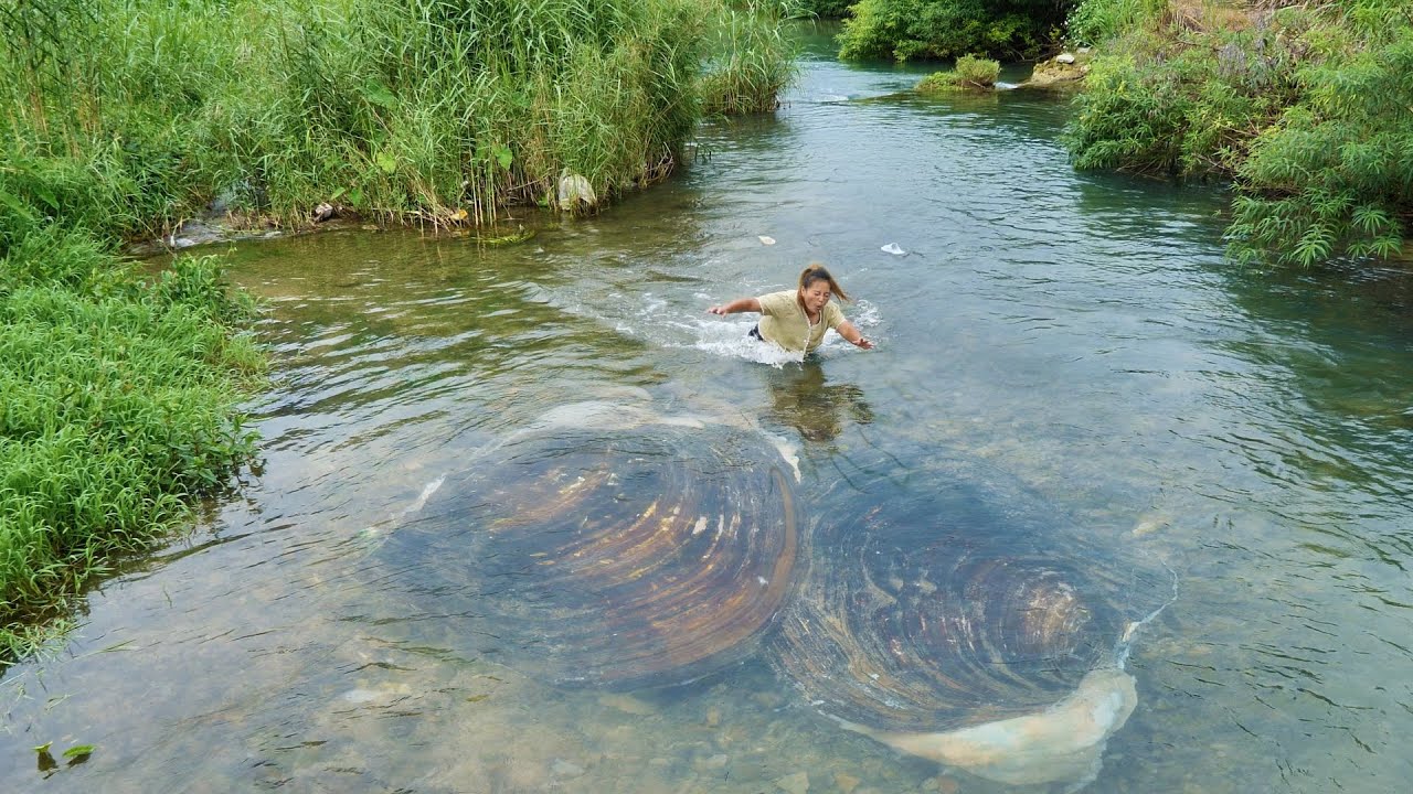 The girl discovered the clams being hugged, with pearls emitting a unique charm inside