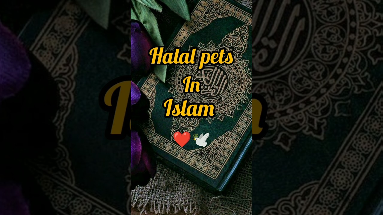 The Halal pets of Islam ☺️🕊️#islamshorts  #viralshorts  #short