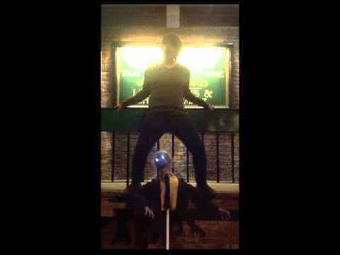 The Heron Style - Gangnum Style Parody