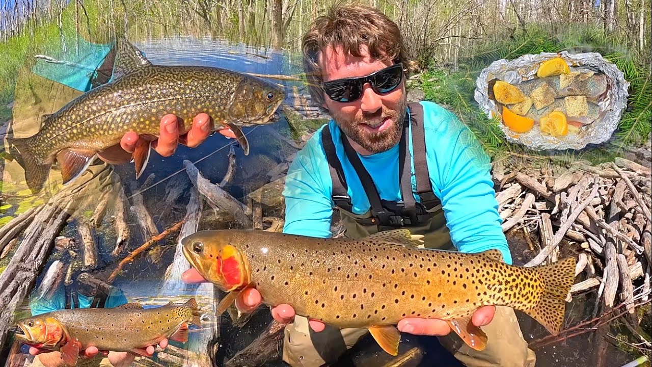 The Hunt For GIANT Cutthroat Trout… Campfire CATCH & COOK!!