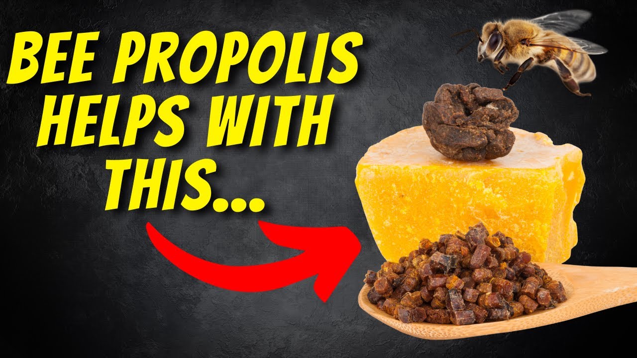 The Incredible Health Benefits of Bee Propolis