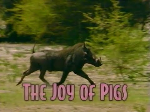 The Joy of Pigs (1996)