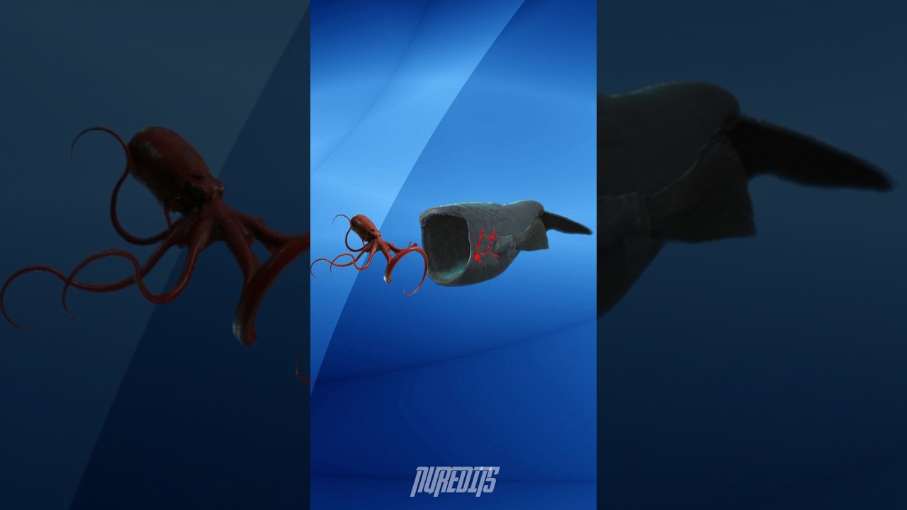 The Kraken vs Bloop