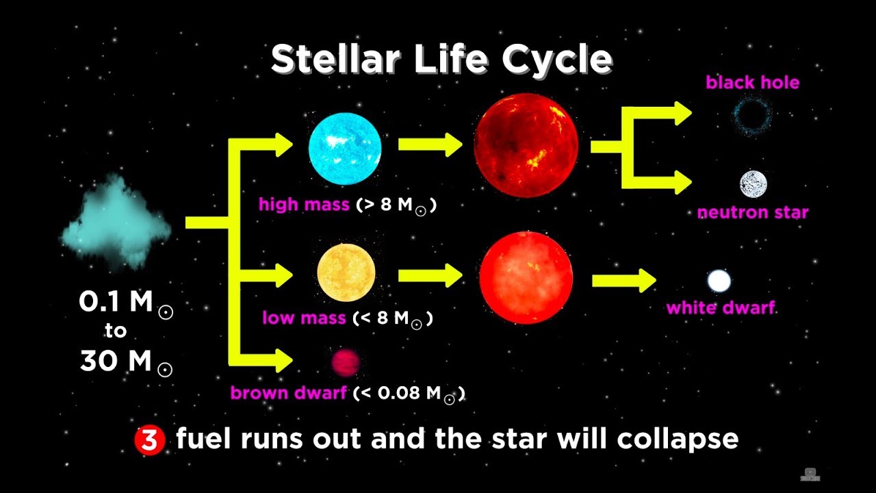 The Life and Death of Stars: White Dwarfs, Supernovae, Neutron Stars, and Black Holes