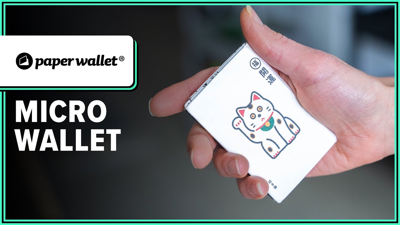 The Lightest Wallet Ever? Paperwallet Micro Wallet Review (2 Weeks of Use)