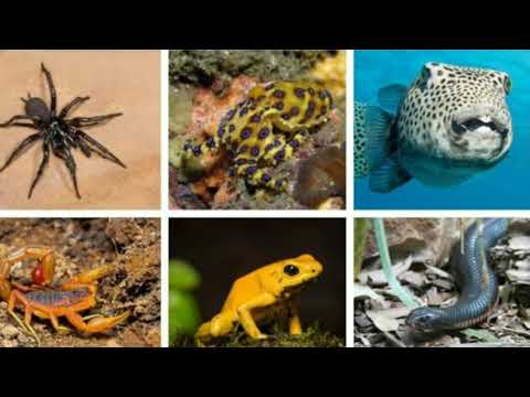 The Living World Part 3