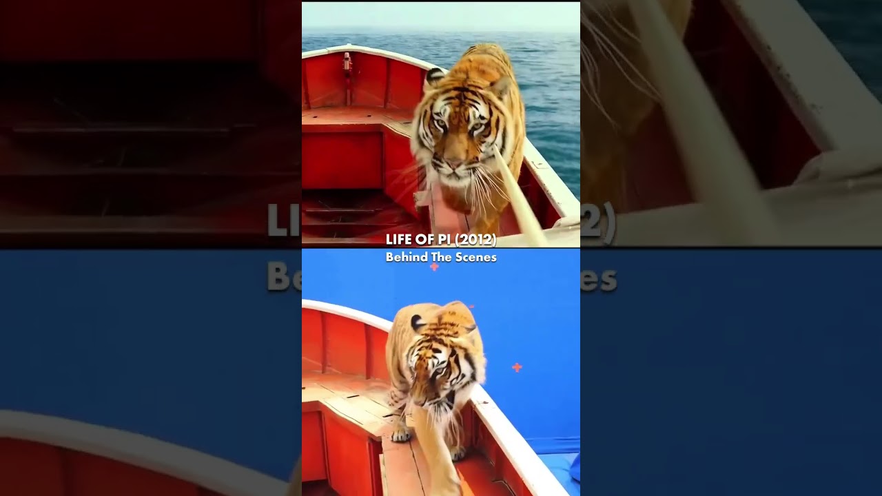 The Making of Life of Pi | Behind The Scenes Of “Life of Pi