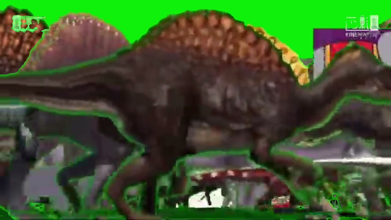 The Massiveness Of An Animal Stampede Green Screen