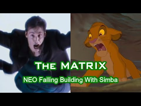 The Matrix (1999) Neo Falling With Simba Noooo
