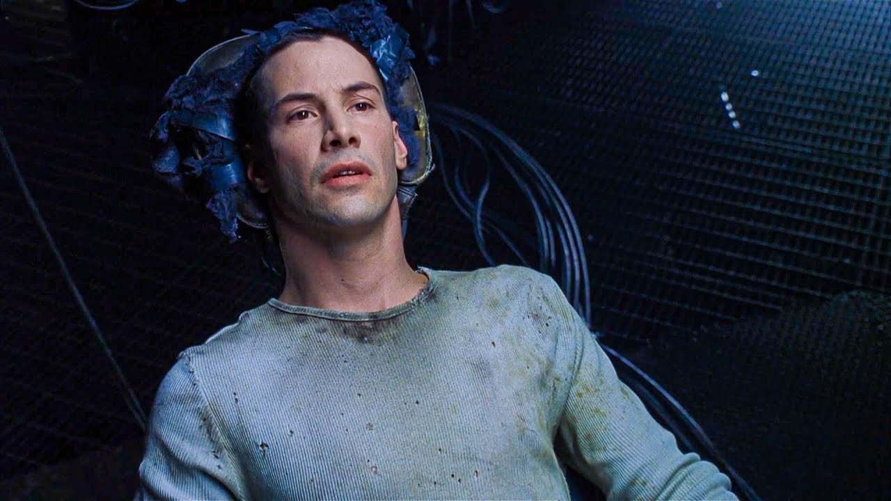 The Matrix (6/16) Movie Scene - Neo learns jiu jitsu. (1999) HD