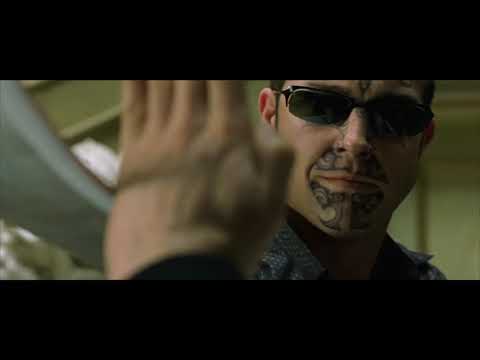 The Matrix Reloaded: Theory of Relativity